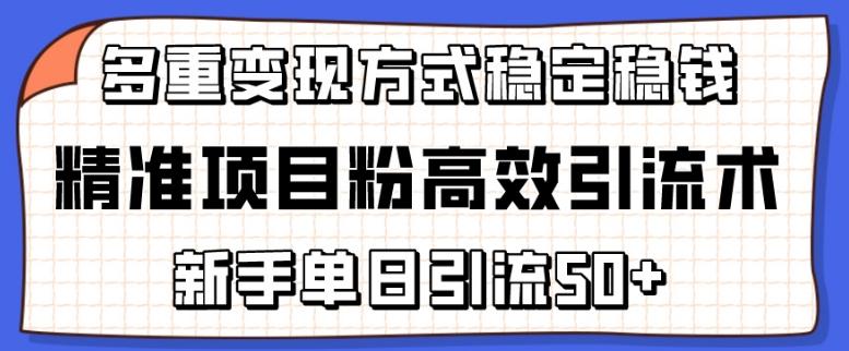 精准项目粉高效引流术，新手单日引流50+，多重变现方式稳定赚钱【揭秘】-财虎网络科技