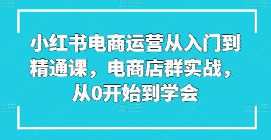 小红书电商运营从入门到精通课,电商店群实战,从0开始到学会
