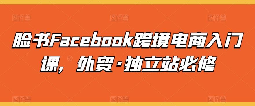 脸书Facebook跨境电商入门课，外贸·独立站必修-财虎网络科技