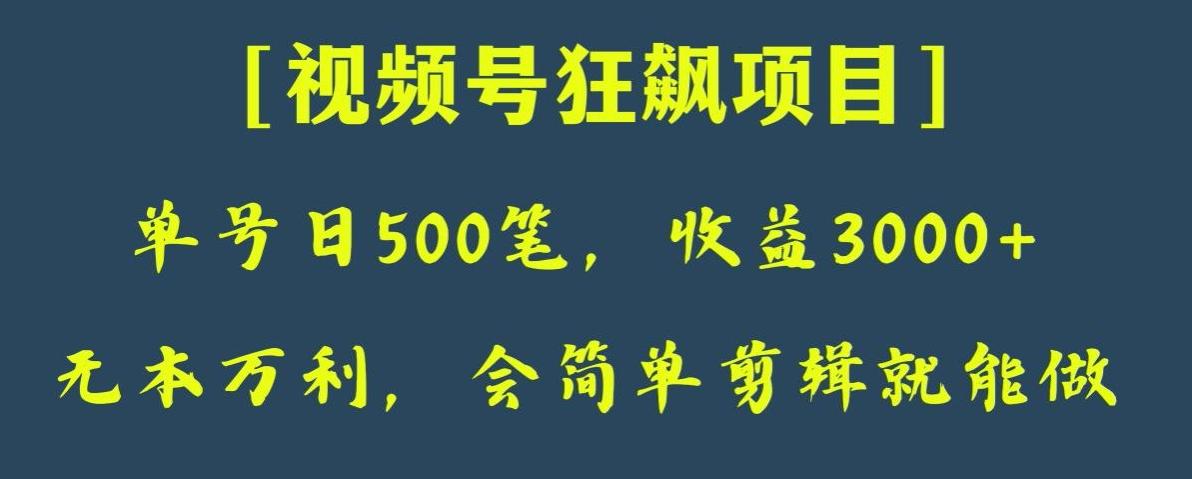 日收款500笔，纯利润3000+，视频号狂飙项目，会简单剪辑就能做【揭秘】-财虎网络科技