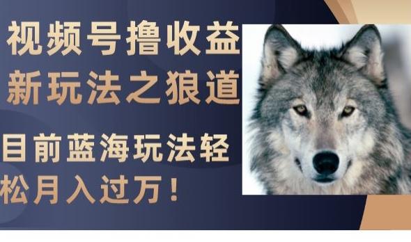 视频号撸收益新玩法之狼道，目前蓝海玩法，轻松月入过万【揭秘】-财虎网络科技