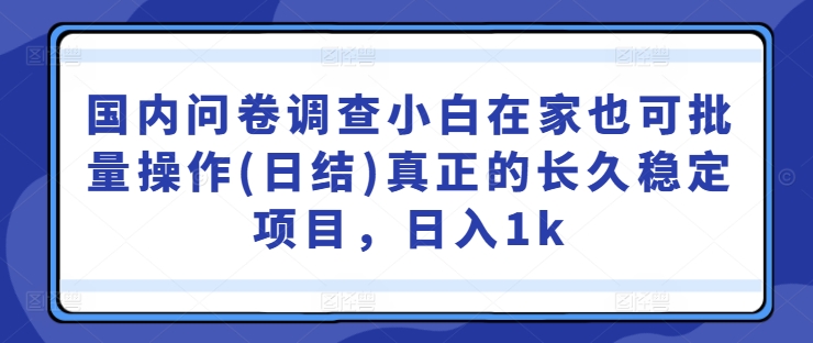 国内问卷调查小白在家也可批量操作(日结)真正的长久稳定项目，日入1k【揭秘】-财虎网络科技