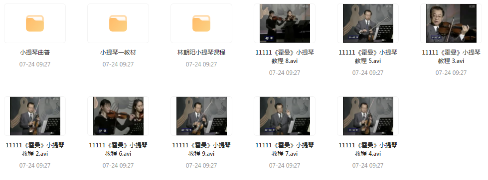 霍曼小提琴教学视频-财虎网络科技