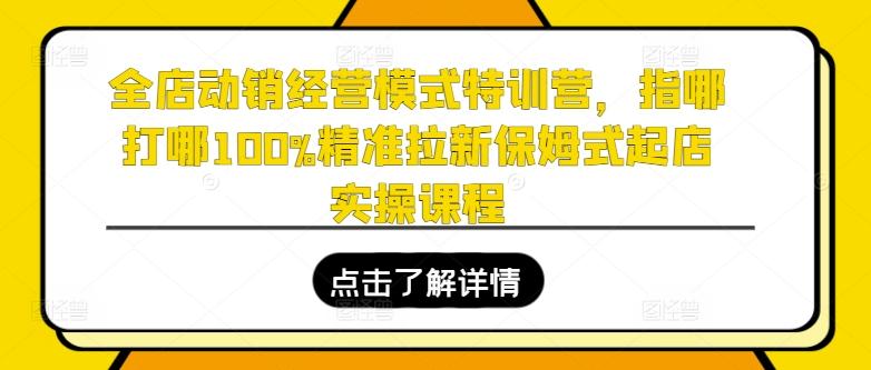 全店动销经营模式特训营，指哪打哪100%精准拉新保姆式起店实操课程-财虎网络科技