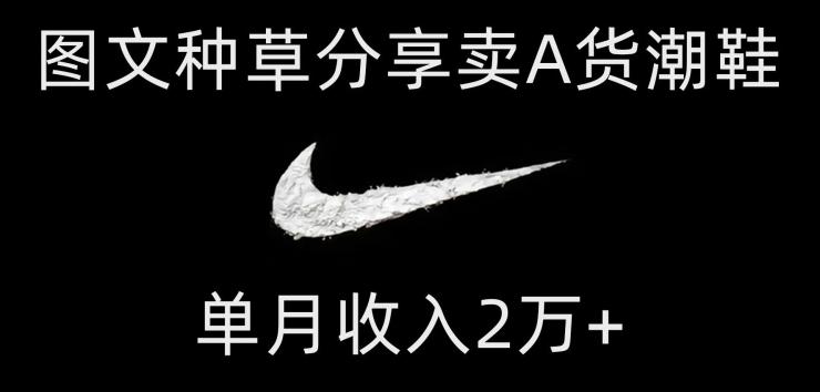 靠图文种草分享卖A货潮鞋，每天一小时，单月收入2万+【揭秘】-财虎网络科技