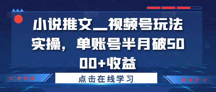 小说推文—视频号玩法实操，单账号半月破5000+收益-财虎网络科技