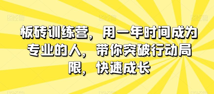 板砖训练营，用一年时间成为专业的人，带你突破行动局限，快速成长-财虎网络科技