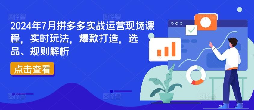 2024年7月拼多多实战运营现场课程，实时玩法，爆款打造，选品、规则解析-财虎网络科技