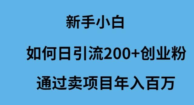(9668期)新手小白如何日引流200+创业粉通过卖项目年入百万-财虎网络科技