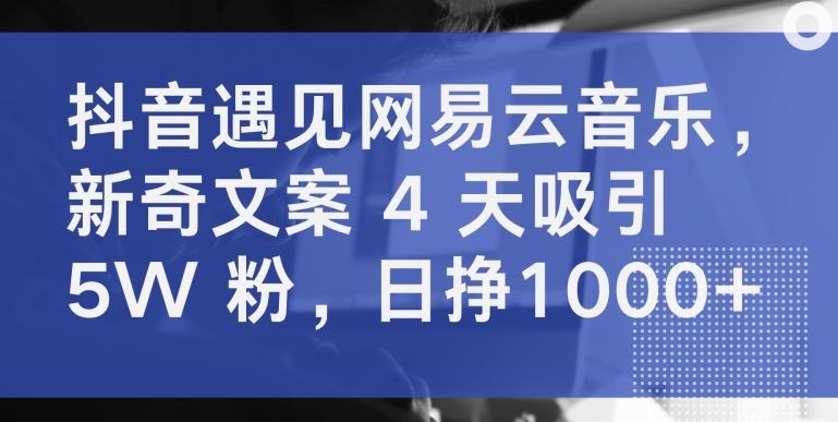 抖音遇见网易云音乐，新奇文案 4 天吸引 5W 粉，日挣1000+【揭秘】-财虎网络科技