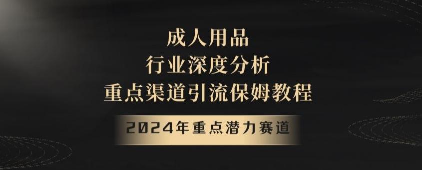 2024年重点潜力赛道，成人用品行业深度分析，重点渠道引流保姆教程【揭秘】-财虎网络科技
