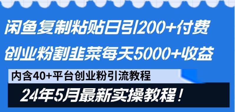 闲鱼复制粘贴日引200+付费创业粉，24年5月最新方法！割韭菜日稳定5000+收益-财虎网络科技