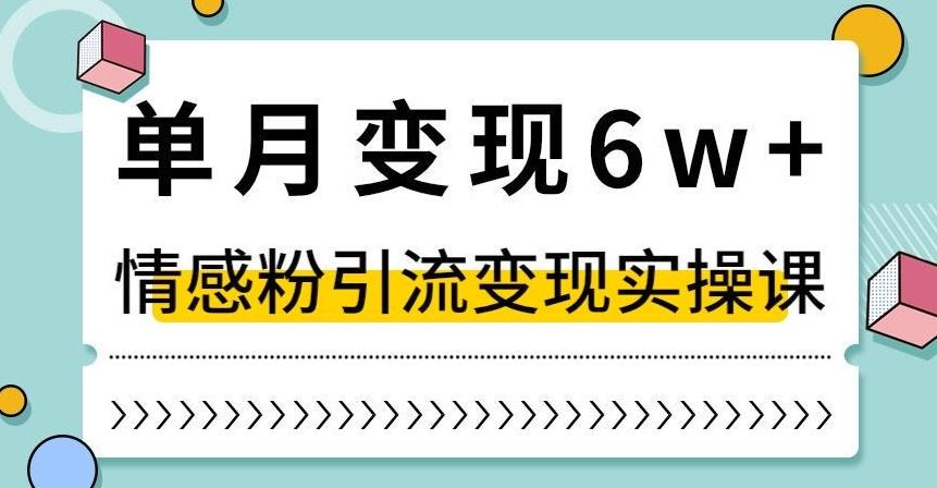 单月变现6W+，抖音情感粉引流变现实操课，小白可做，轻松上手，独家赛道【揭秘】-财虎网络科技