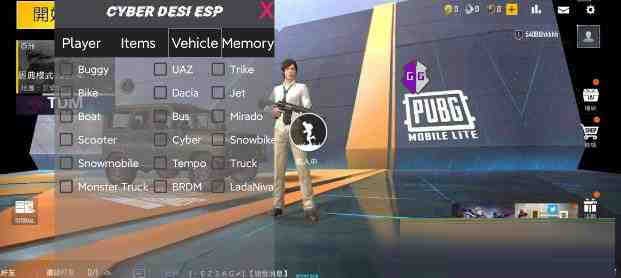 PUBG轻量老外裸奔绘制+自瞄 支持ROOT和框架 里面有全局离线-财虎网络科技