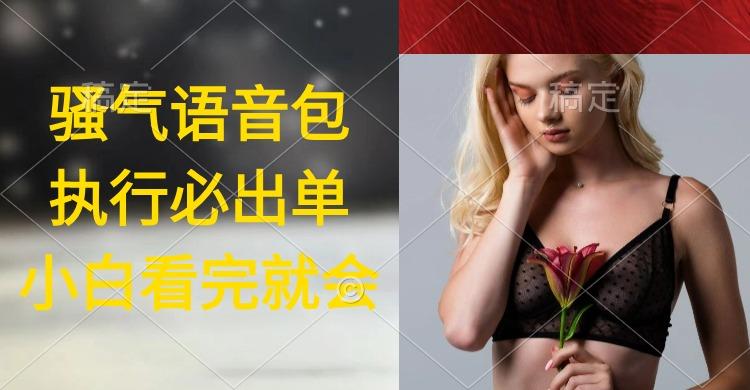 (9589期)执行就出单，日入2000+，超火骚气语音包，小白看完课程就能马上实操-财虎网络科技