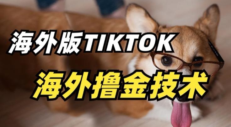 抖音海外版tiktok撸金技术,这个风口行业,赚钱真的不难【揭秘】