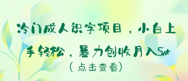冷门成人识字项目，小白上手轻松，暴力创收月入5w+【揭秘】-财虎网络科技