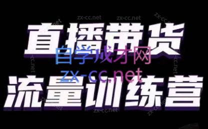 婉婉·直播带货课程系列合集(更新8月)-财虎网络科技