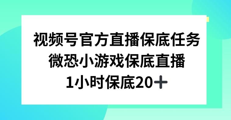 视频号直播任务，微恐小游戏，1小时20+【揭秘】-财虎网络科技