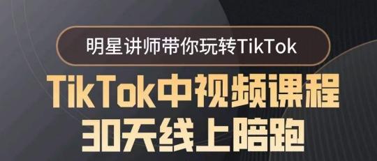 TikTok中视频课程30天线上陪跑，明星讲师带你玩转TikTok-财虎网络科技