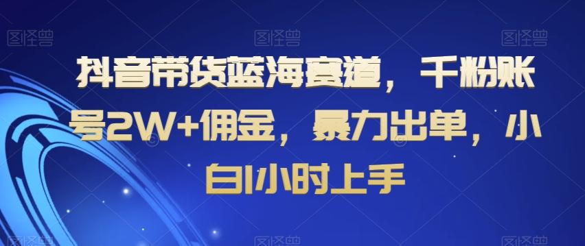 抖音带货蓝海赛道，千粉账号2W+佣金，暴力出单，小白1小时上手【揭秘】-财虎网络科技