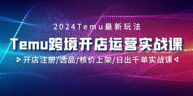 2024Temu跨境开店运营实战课，开店注册/选品/核价上架/日出千单实战课-财虎网络科技