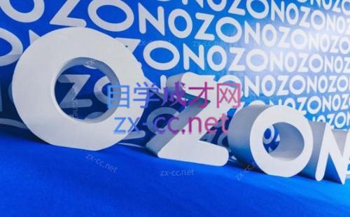 森哥·出海俄罗斯电商实操(2024)-财虎网络科技