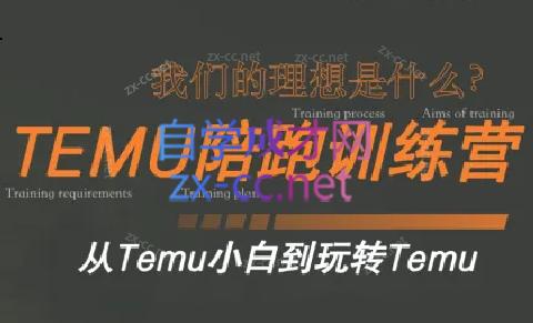 苗苗·拼多多跨境（temu）课程-财虎网络科技