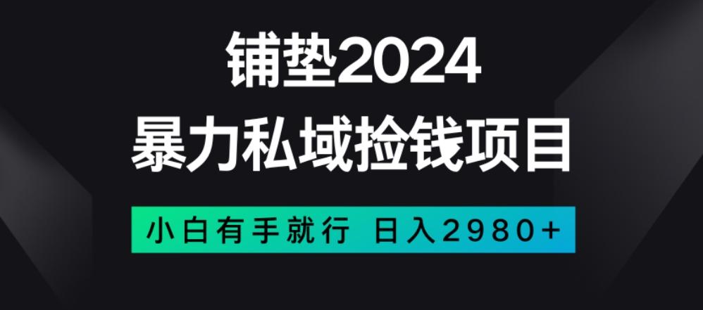暴力私域捡钱项目,小白无脑操作,日入2980【揭秘】-财虎网络科技