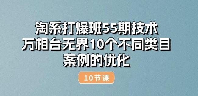 淘系打爆班55期技术：万相台无界10个不同类目案例的优化(10节)-财虎网络科技