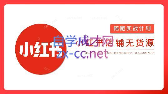 安琪·小红书店铺无货源-财虎网络科技