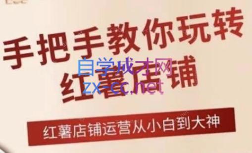 海燕老师·2024手把手教你玩转红薯店铺-财虎网络科技