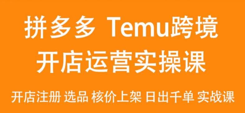 2024Temu最新玩法，Temu跨境开店运营实操课，开店注册/选品/核价上架/日出千单实战课-财虎网络科技