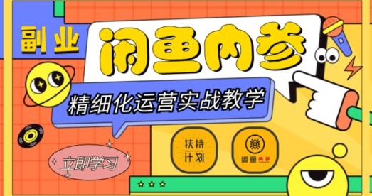 闲鱼精细化运营入门+高阶实战教学，从底层逻辑到轻松变现，多维度玩转闲鱼副业-财虎网络科技