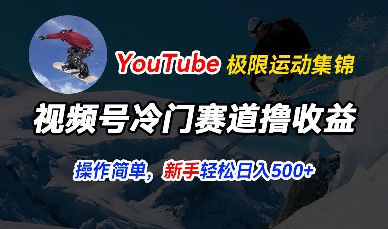 视频号冷门赛道撸收益，YouTube搬运极限运动集锦，暴力起号，操作简单流量高，轻松日入5张【揭秘】-财虎网络科技
