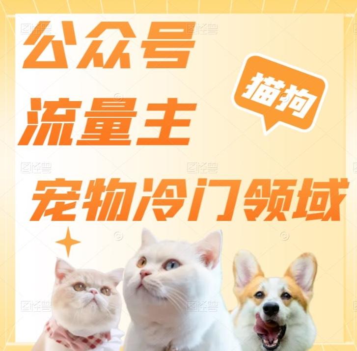 公众号流量主，萌宠冷门领域，单日收益2000+，简单暴力掘金，矩阵操作，无限放大收益！-财虎网络科技