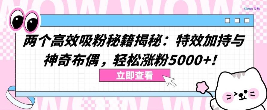 两个高效吸粉秘籍揭秘：特效加持与神奇布偶，轻松涨粉5000+【揭秘】-财虎网络科技