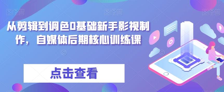 从剪辑到调色0基础新手影视制作,自媒体后期核心训练课-财虎网络科技