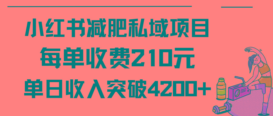(9466期)小红书减肥私域项目每单收费210元单日成交20单，最高日入4200+-财虎网络科技