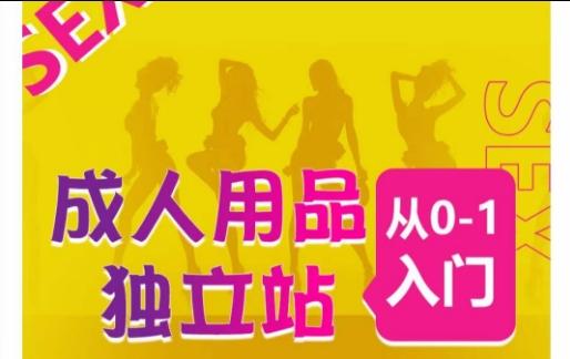 成人用品独立站从0-1入门，成品独立站运营全流程教学，七大好卖成品独立站推荐-财虎网络科技