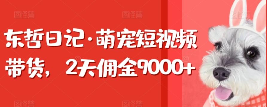东哲日记·萌宠短视频带货,2天佣金9000+-财虎网络科技