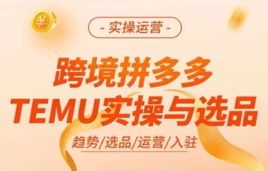 跨境拼多多TEMU实操与选品，多多temu跨境选品运营实操-财虎网络科技