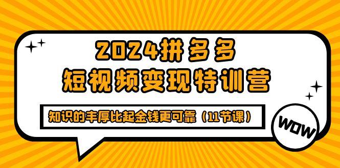 (9817期)2024拼多多短视频变现特训营，知识的丰厚比起金钱更可靠(11节课)-财虎网络科技