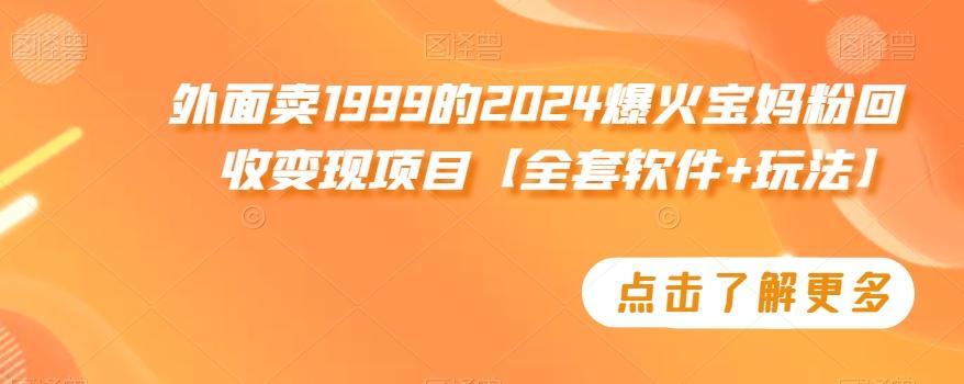 外面卖1999的2024爆火宝妈粉回收变现项目【全套软件+玩法】【揭秘】-财虎网络科技
