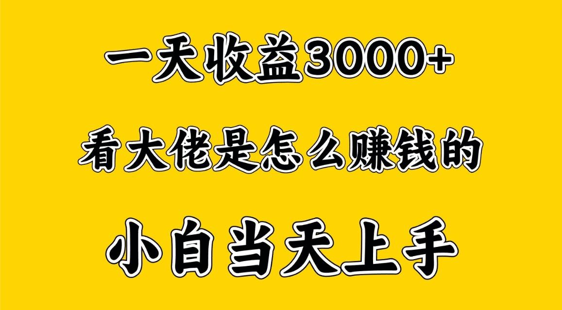 一天赚3000多，大佬是这样赚到钱的，小白当天上手，穷人翻身项目-财虎网络科技