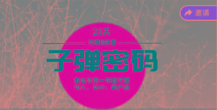 《子弹密码训练营》-用一句话文案勾人勾心卖产品，21天学到顶尖文案大师策略和技巧-财虎网络科技