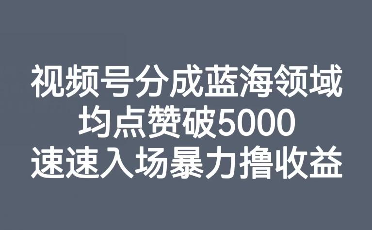 视频号分成蓝海领域，均点赞破5000，速速入场暴力撸收益-财虎网络科技