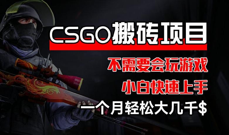 CSGO 装备搬砖项目，操作简单，不需要会玩游戏，小白也能快速上手，一个月轻松大几千【揭秘】-财虎网络科技