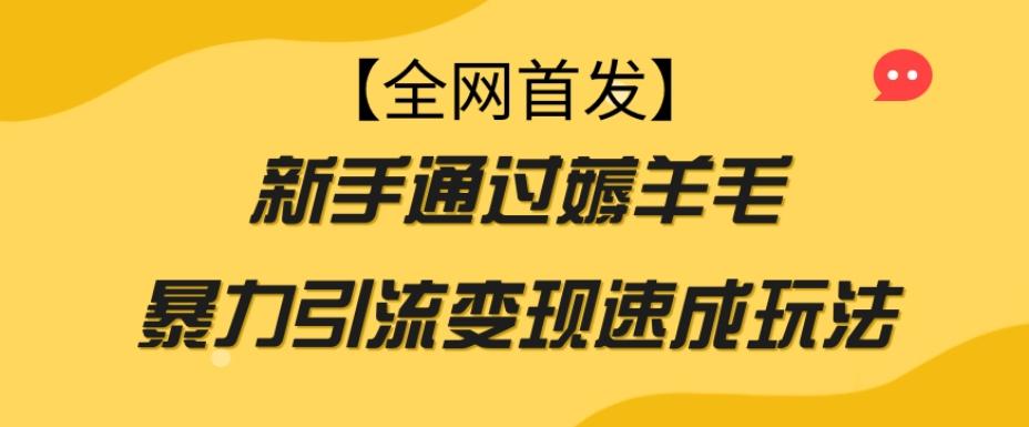 【全网首发】新手通过薅羊毛暴力引流变现速成玩法-财虎网络科技