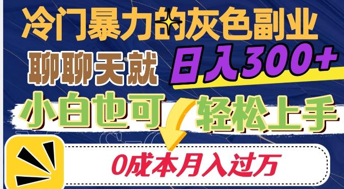 冷门暴利的副业项目，聊聊天就能日入300+，0成本月入过万【揭秘】-财虎网络科技